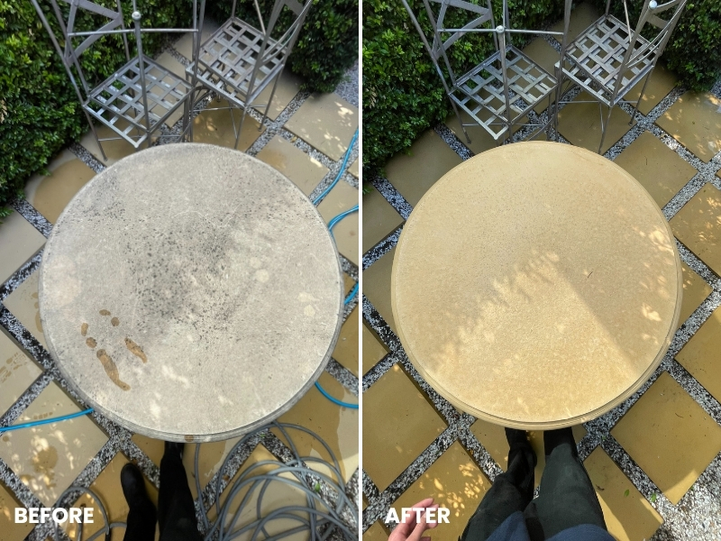 RESIDENTIAL SOFT WASHING example 2