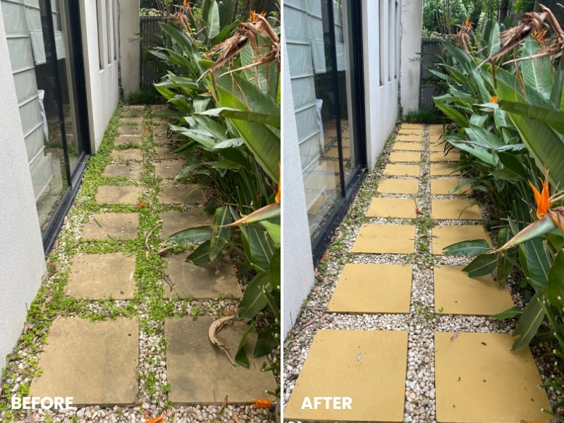 RESIDENTIAL SOFT WASHING example 6