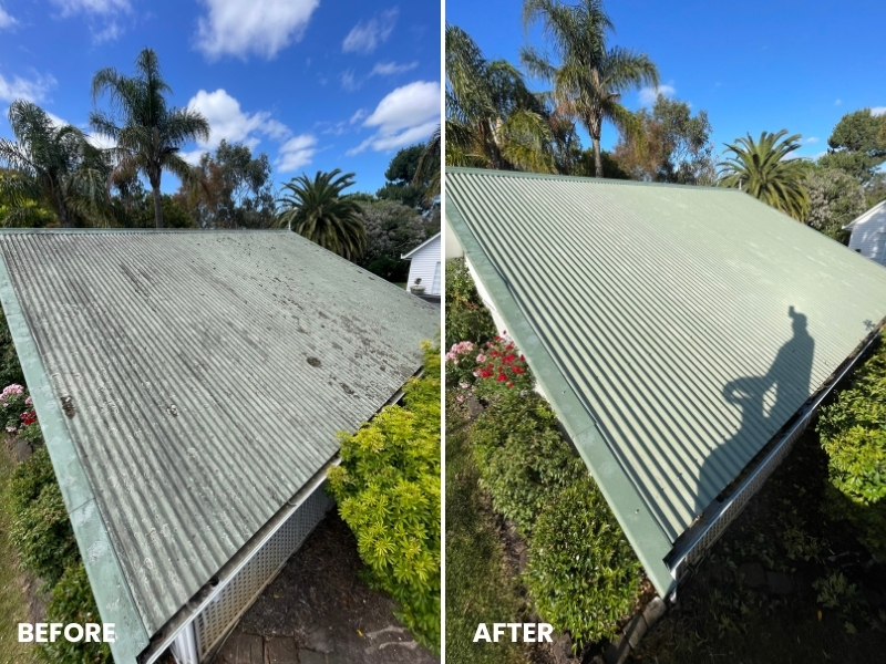 RESIDENTIAL SOFT WASHING example 7